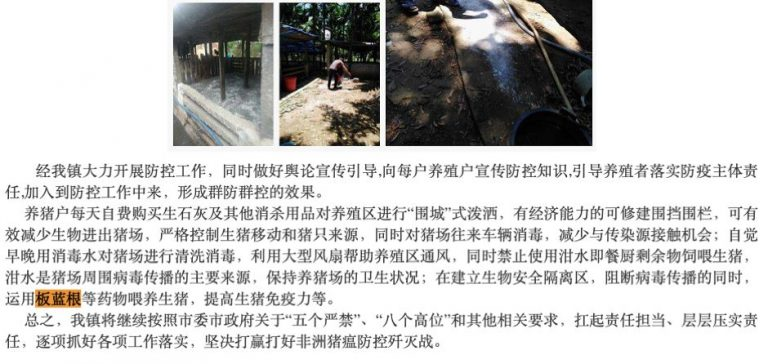 大象公会 | 中医拯救非洲猪瘟? 70 大象公会 | 中医拯救非洲猪瘟?