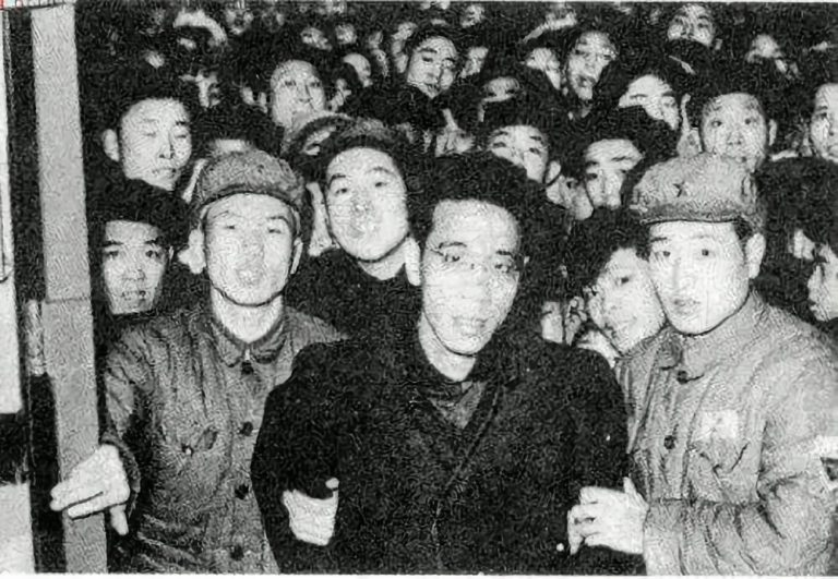大象公会 | 怎样高效打击偷税漏税 44 大象公会 | 怎样高效打击偷税漏税