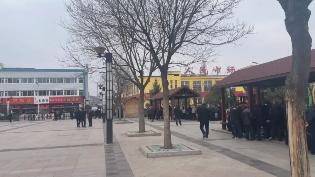 血浆站背后的县城青年 14 血浆站背后的县城青年