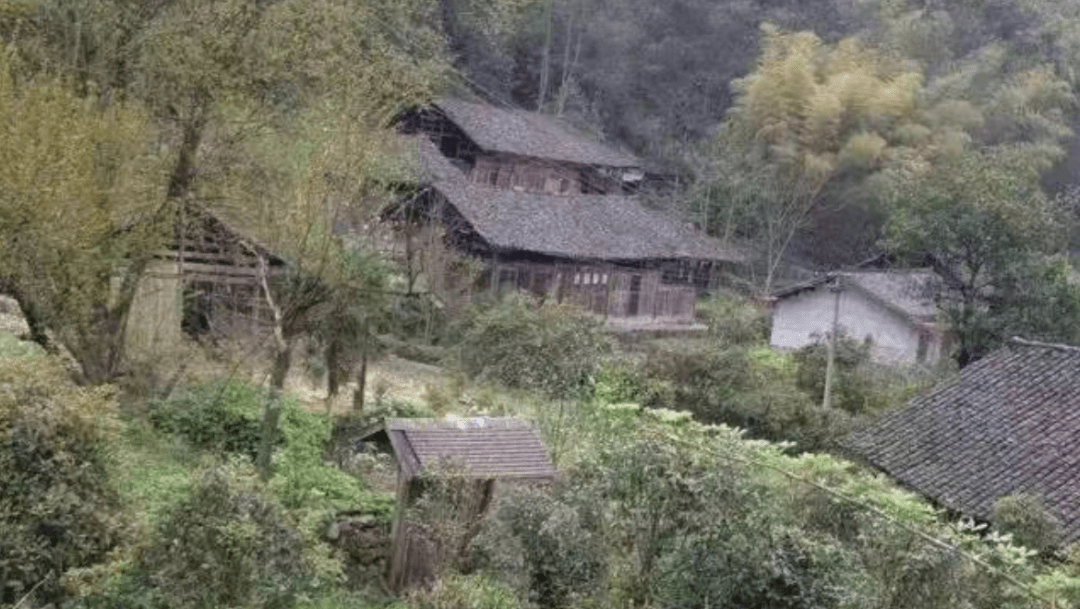 受困缅北的年轻人,溺水的底层家庭 20 受困缅北的年轻人,溺水的底层家庭