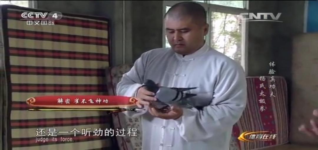 太极拳到底能不能打 65 太极拳到底能不能打