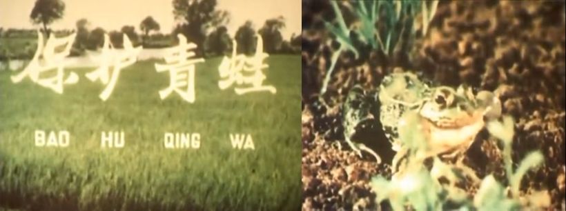 中国历史第二长的电视节目是怎样炼成的? 65 中国历史第二长的电视节目是怎样炼成的?