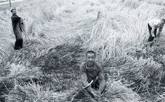 那些在中国农村消失的职业 45 那些在中国农村消失的职业