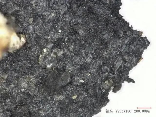 三星堆文化究竟来自何方? 80 三星堆文化究竟来自何方?
