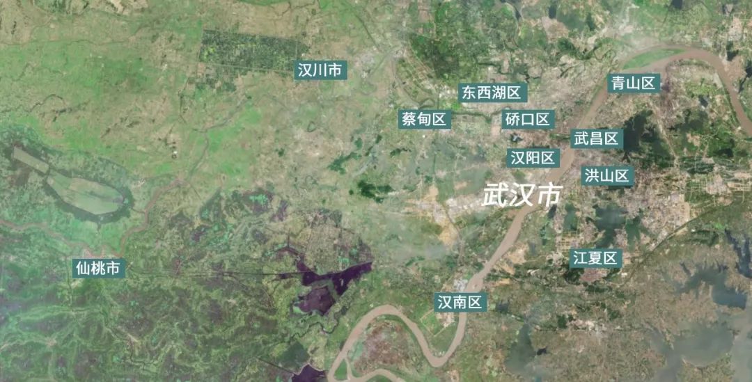 湖北人为什么被叫做“九头鸟” 56 湖北人为什么被叫做“九头鸟”