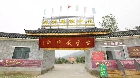 为什么北方人的祖籍都是大槐树? 38 为什么北方人的祖籍都是大槐树?