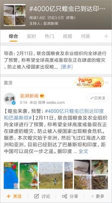 “4000亿只蝗虫”的新闻是怎么来的,又是怎么没的? 61 “4000亿只蝗虫”的新闻是怎么来的,又是怎么没的?