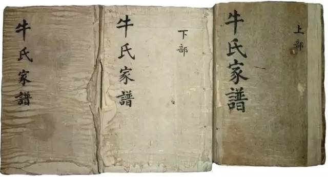 为什么北方人的祖籍都是大槐树? 37 为什么北方人的祖籍都是大槐树?