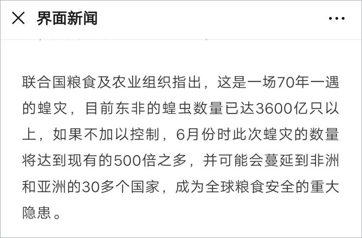 “4000亿只蝗虫”的新闻是怎么来的,又是怎么没的? 73 “4000亿只蝗虫”的新闻是怎么来的,又是怎么没的?