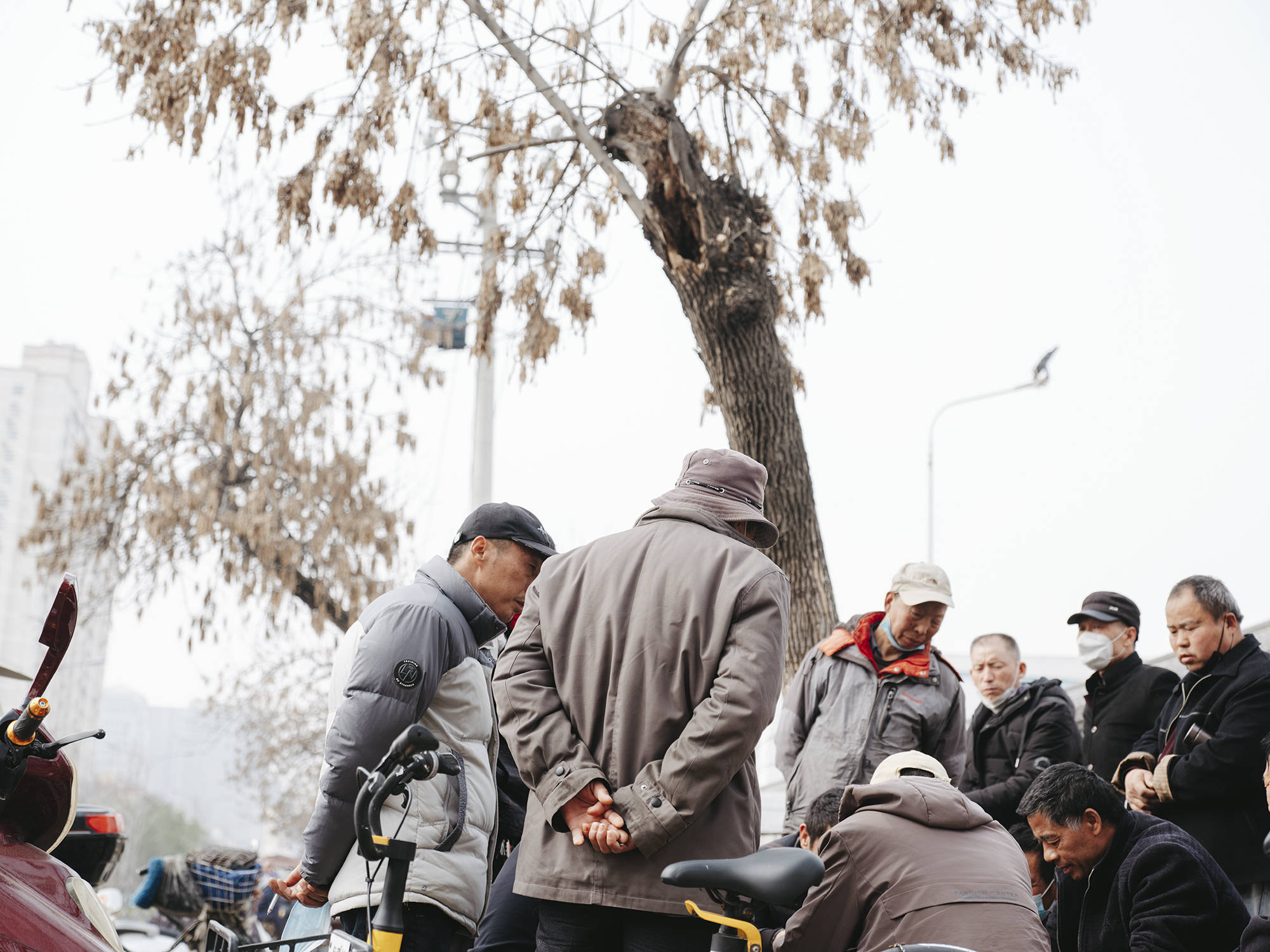 60岁后在立交桥下做日结:4点起床抢不到工作 不敢回家养老 94 231441a19ed0458da3f4eec9429cd787.jpeg