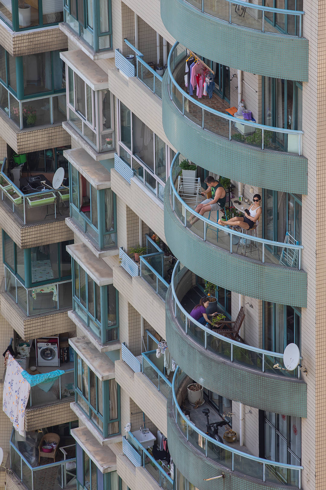 上海小区24天封控实录:小学女儿严控食物用量 种葱每天量高度 70 dd979a13c2a94ccf94bc0f215789406f.jpeg