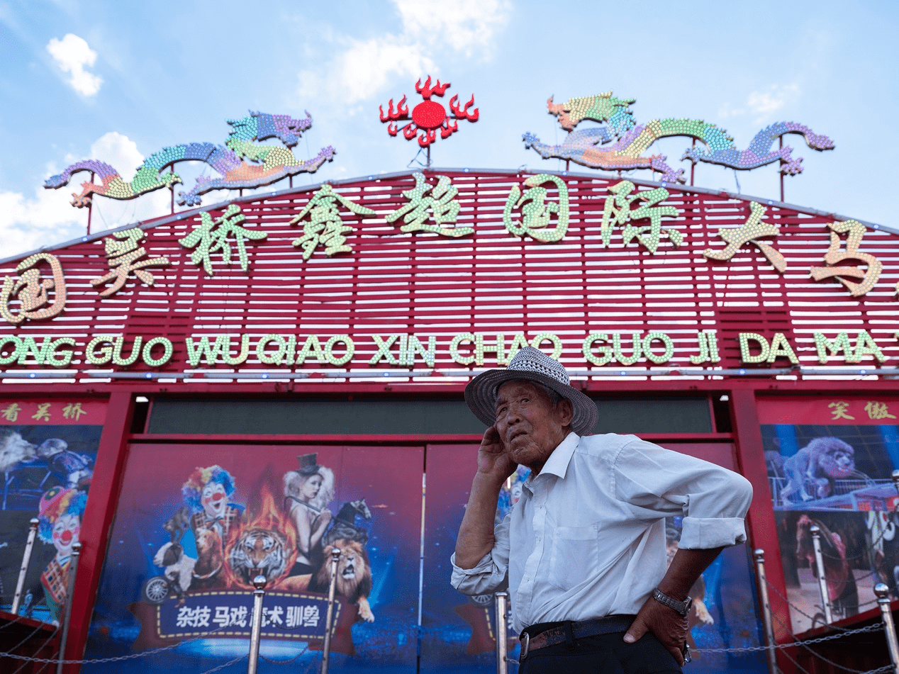 高龄杂技演员之困:年近半百顶400斤铁缸 欲当保安被嘲没学历 94 aa838f9d2e2f47f6a421966a4a5f3ab8.png