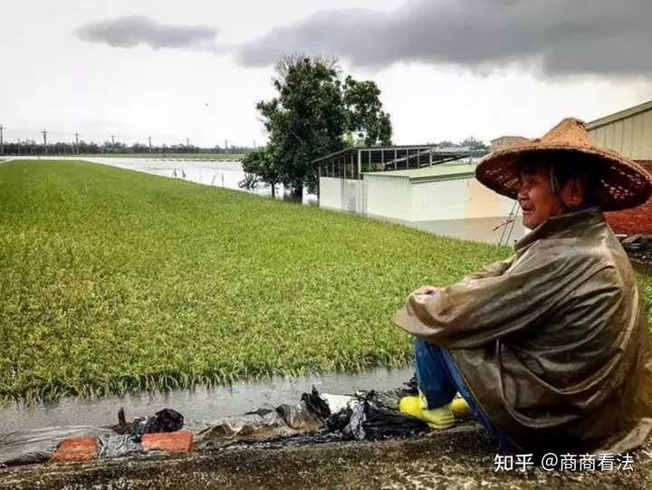 当前台湾人生活水平什么样子? 44 当前台湾人生活水平什么样子?