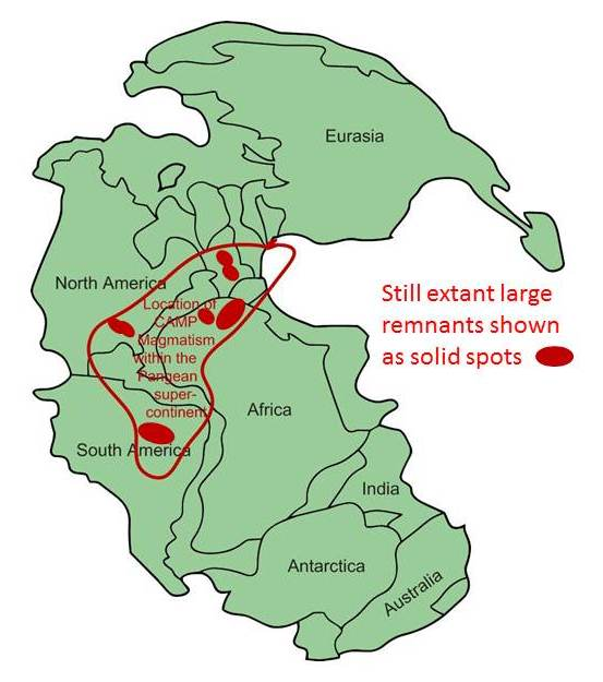 地球上的多次物种大灭绝 82 地球上的多次物种大灭绝