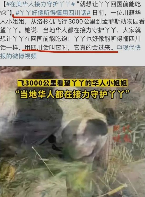 “我为熊猫狂”:被笃信的谣言,被围攻的科普 15 “我为熊猫狂”:被笃信的谣言,被围攻的科普