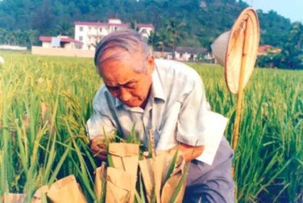 黄章晋:袁隆平神话 杂交水稻之父是怎样升起的? 107 zhankaida