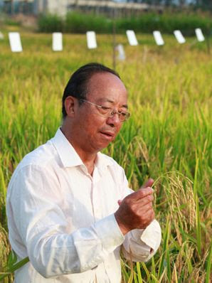 黄章晋:袁隆平神话 杂交水稻之父是怎样升起的? 104 xiehuaan