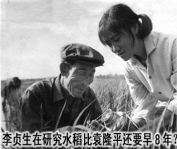 黄章晋:袁隆平神话 杂交水稻之父是怎样升起的? 124 dd4bd629a9a549f316373d8458fd3972429c833e