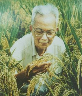 黄章晋:袁隆平神话 杂交水稻之父是怎样升起的? 109 huangyaoxiang